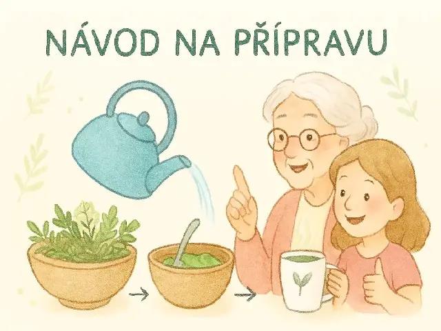 Návod na přípravu